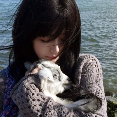 青春浪花